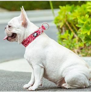 Truelove Floral Pet Collars