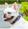 Truelove Floral Pet Collars