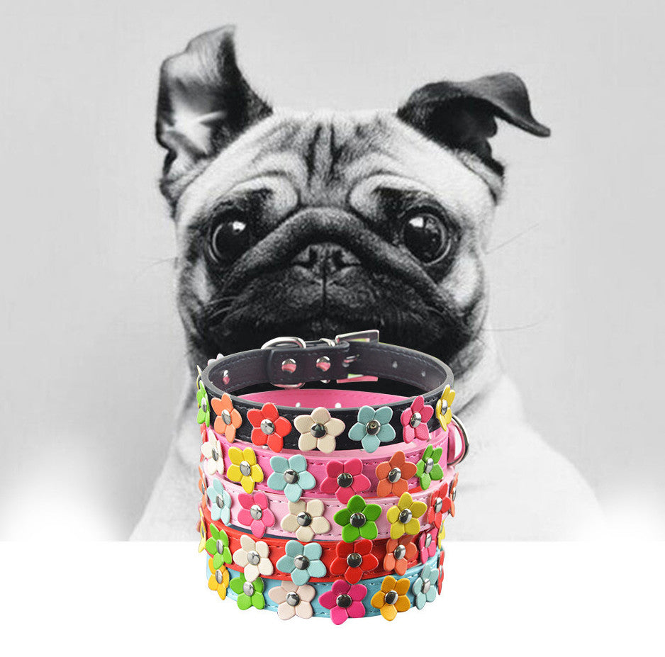 Happy Flower Pet Collars & Leash