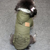 Winter Dog Hoodies