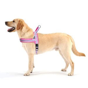 No-Pull Adjustable Dog Harness