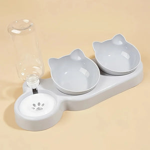 Pet Bowls With Auto Water Feeder