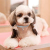 Pet Crystal Bling Collars