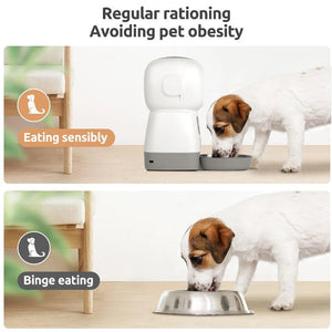 Pet Feeder Auto 3.5L (Voice Record)