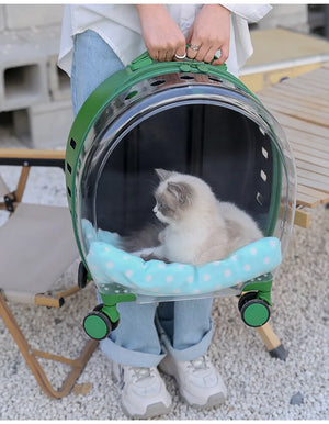 Pet Transparent Trolley