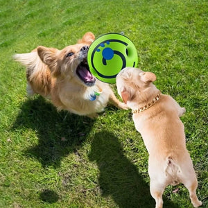 Pet Wobble Giggle Sound Ball