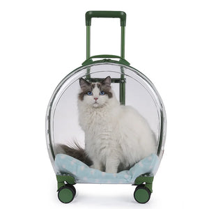 Pet Transparent Trolley