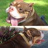 Pet Dog (Double) Chain Collar