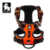 Truelove Pet Harness