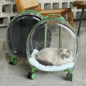 Pet Transparent Trolley