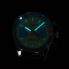 Men's Seagull Design Watch