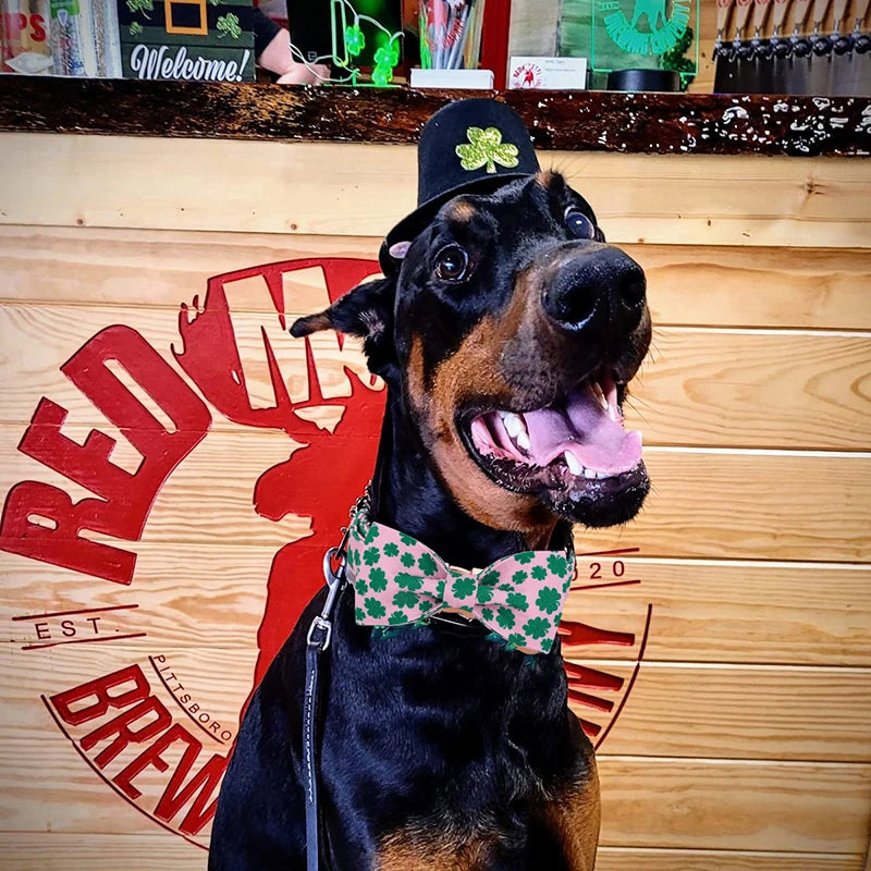 St Patrick Dog Collar with Bow