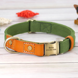 Custom ID Pet Collar + Leash Set