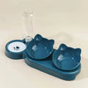 Pet Bowls With Auto Water Feeder