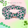 St Patrick Dog Collar with Bow