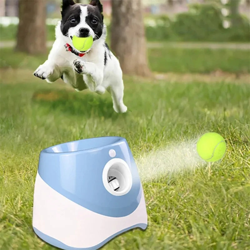 Dog Automatic Ball Launcher