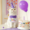 Pet Happy Birthday Set