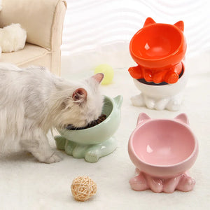 Cat Diagonal Feed Bowls