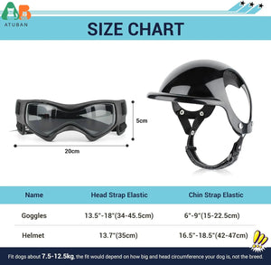 Pet Helmet and Goggles