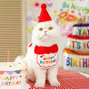 Pet Happy Birthday Set