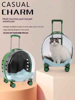 Pet Transparent Trolley