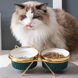 Pet Ceramic Raised Food Bowls