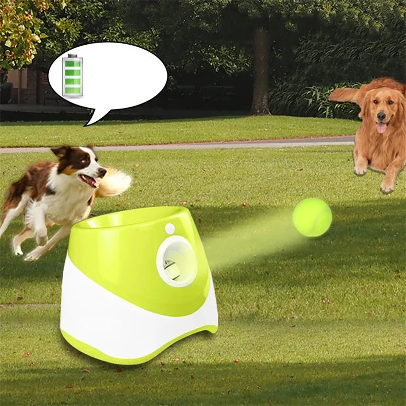 Dog Automatic Ball Launcher