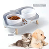 Pet Elevated Food/Water Feeder