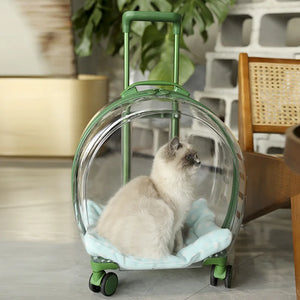 Pet Transparent Trolley