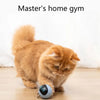 Cat Exercise Toy Ball (USA)