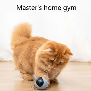 Cat Exercise Toy Ball (USA)