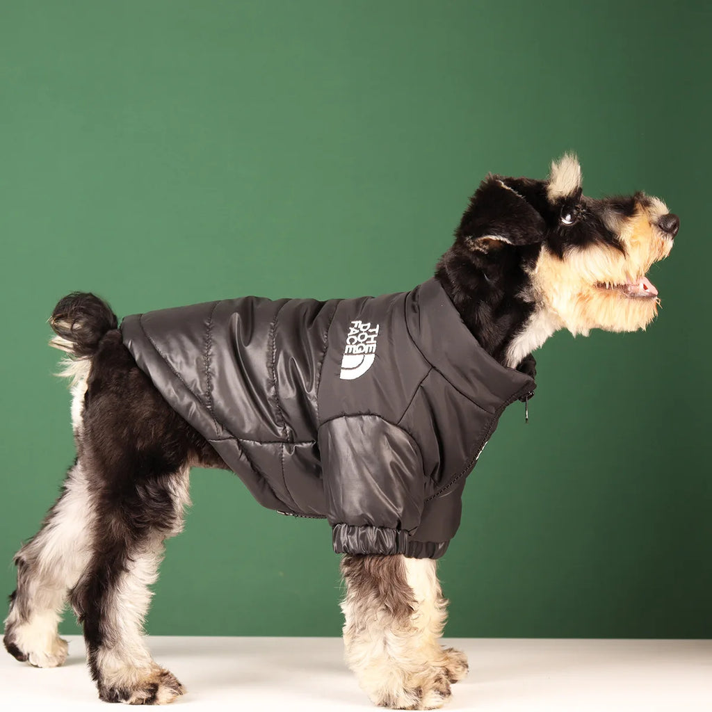 Windproof Pet Dog Jacket