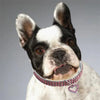 Pet Crystal Bling Collars