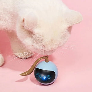 Cat Exercise Toy Ball (USA)