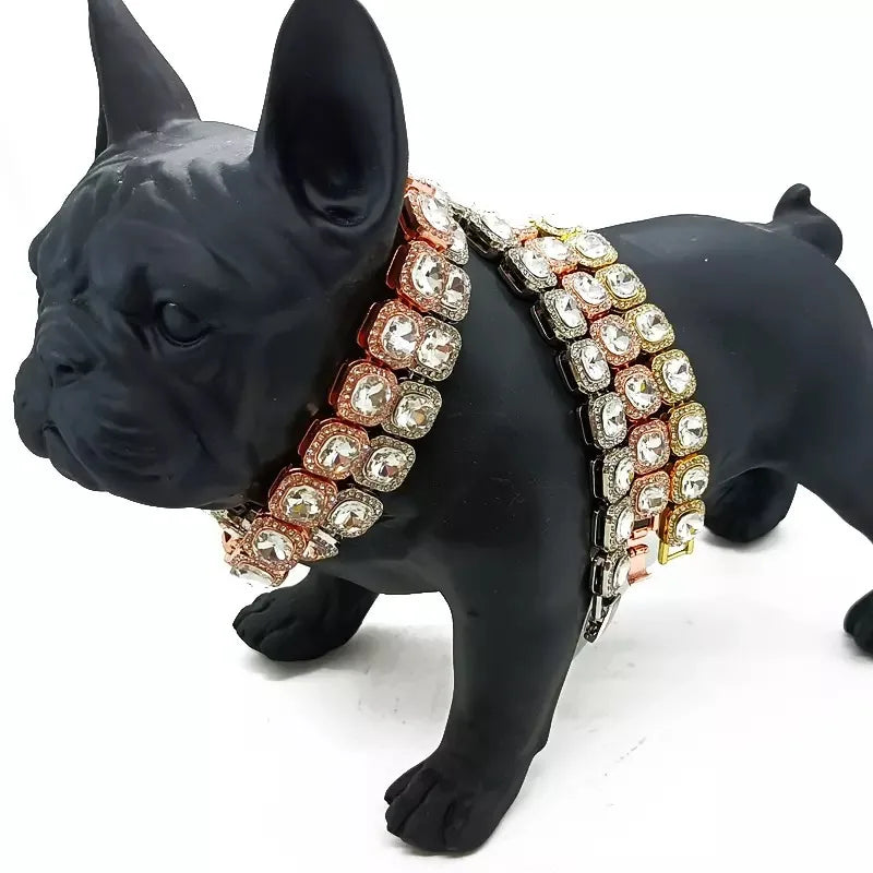 Designer Pet Jewels