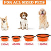 Pet Folding Collapsible Travel Bowl