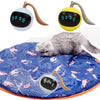 Cat Exercise Toy Ball (USA)