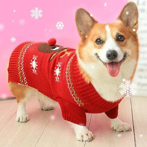 Xmas Snowflake Pet Coat