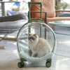 Pet Transparent Trolley