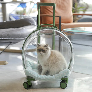 Pet Transparent Trolley