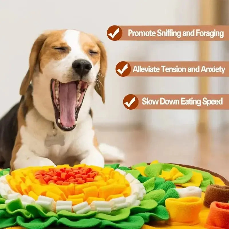 Sniff Mat for Dogs