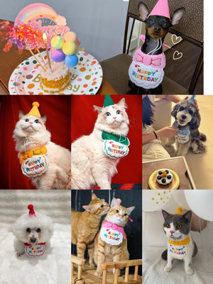 Pet Happy Birthday Set