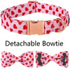 Pet Pink Valentine Collar