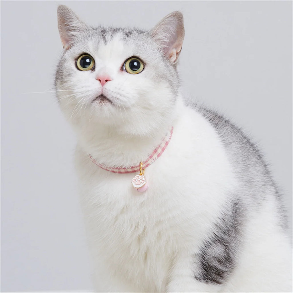 Collar Candy (Cat/Dog)
