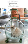 Pet Transparent Trolley