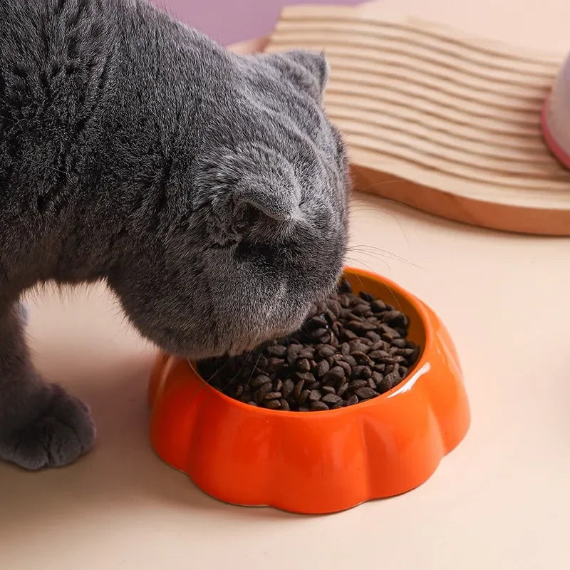 Cute Pet Ceramic bowls