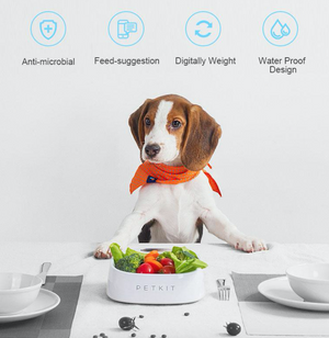 Pet Healthy Feeding Mat/Bowl