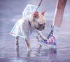 Barking Dog Raincoats