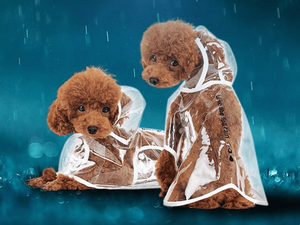 Barking Dog Raincoats