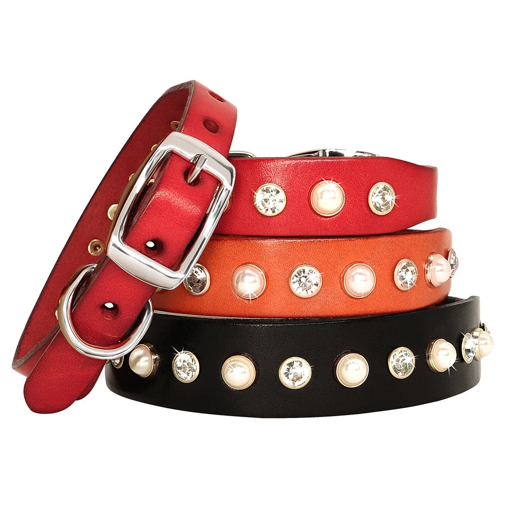 Puppy Designer Leather Collars